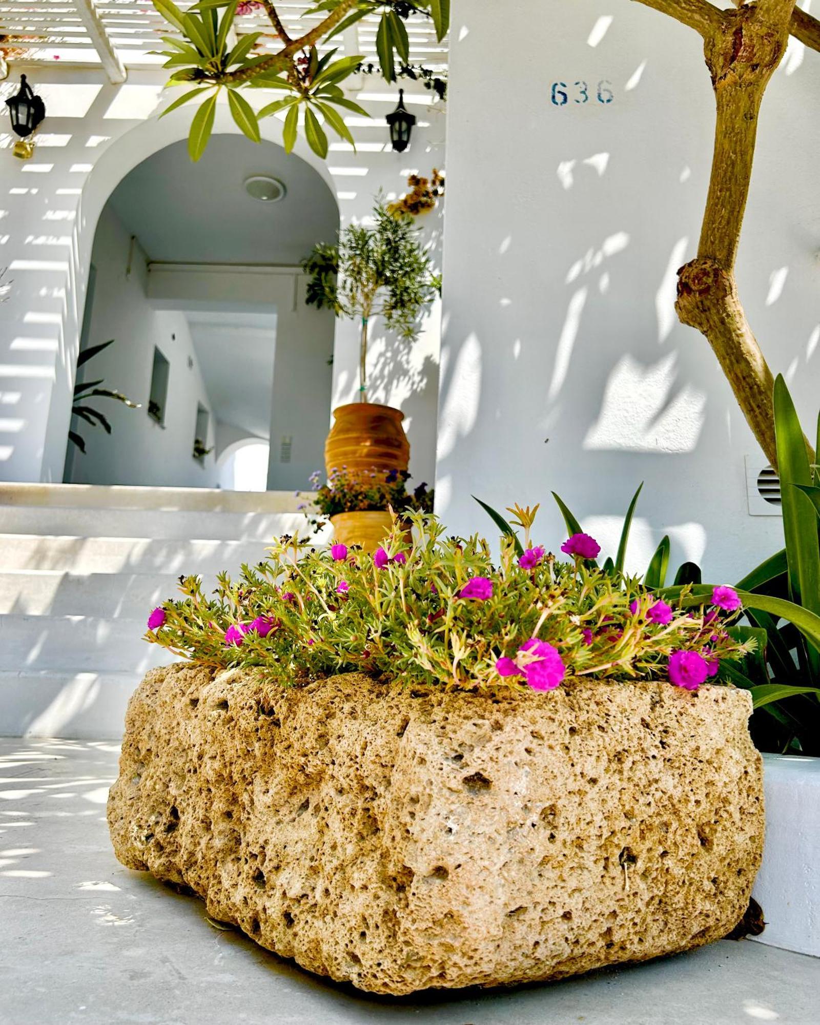 آداماس Anita Rooms & Suites Milos المظهر الخارجي الصورة